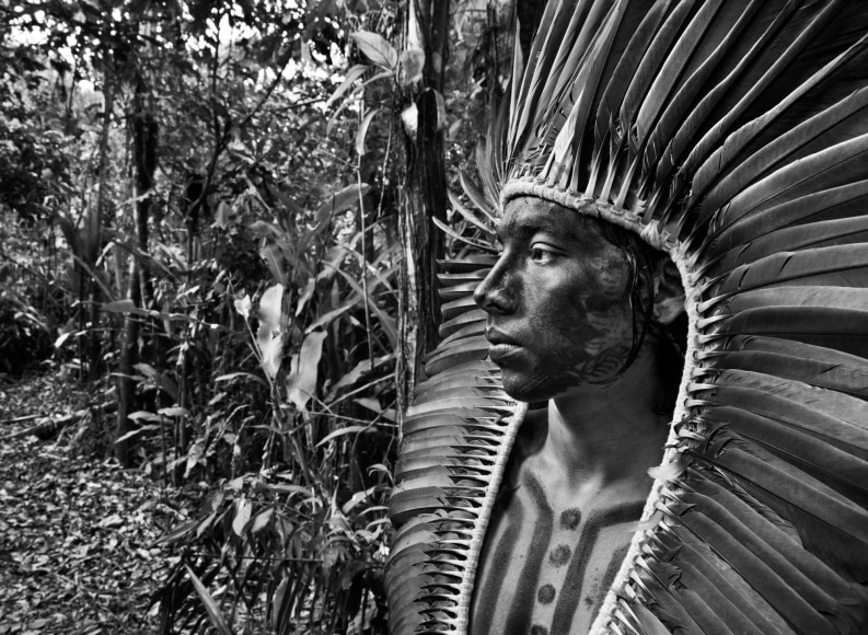 povos indígenas do amazonas
